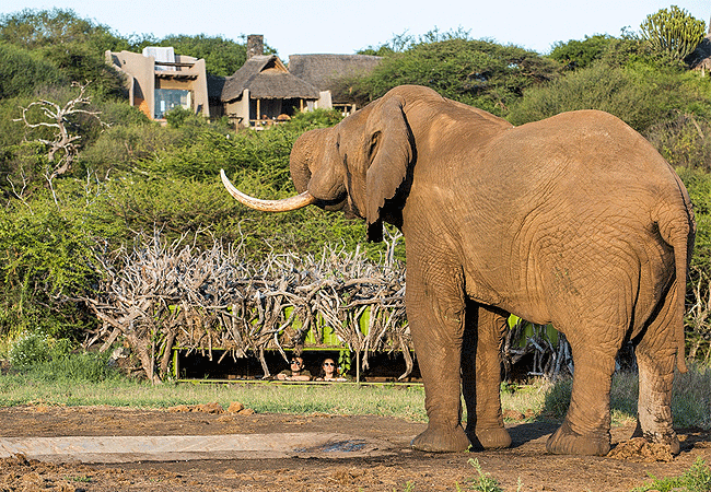 4-days-3-nights-ol-donyo-lodge-chyulu-hills-fly-in-safari-unique-underground-hide-allowing-guests-to-observe-wildlife-particularly-elephants-at-a-nearby-waterhole 4 Days 3 Nights Ol Donyo Lodge Chyulu Hills Fly-in Safari