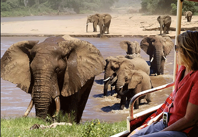 5 Days 4 Nights Kenya Safari Samburu Nakuru Masai Mara