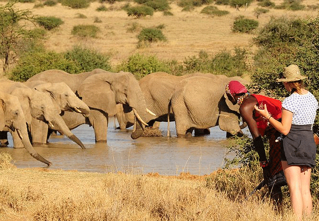 5 Days 4 Nights Kenya Maralal Camel Safari Tour