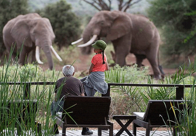 5 Days Kenya Safari Amboseli Tsavo West National Park