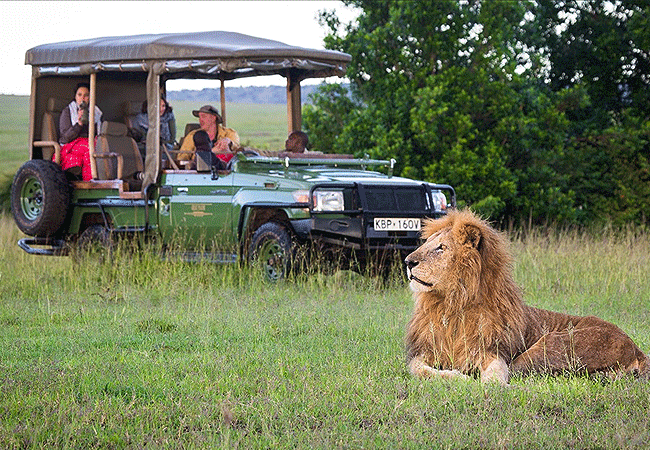6 Days 5 Nights Lake Naivasha Masai Mara Road Safari