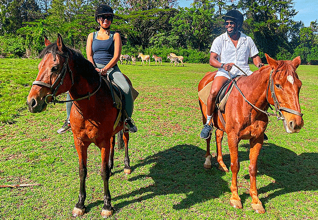 6 Day Kenya Road-Air Safari Aberdare, Olpejeta and Masai Mara National Reserve from Nairobi