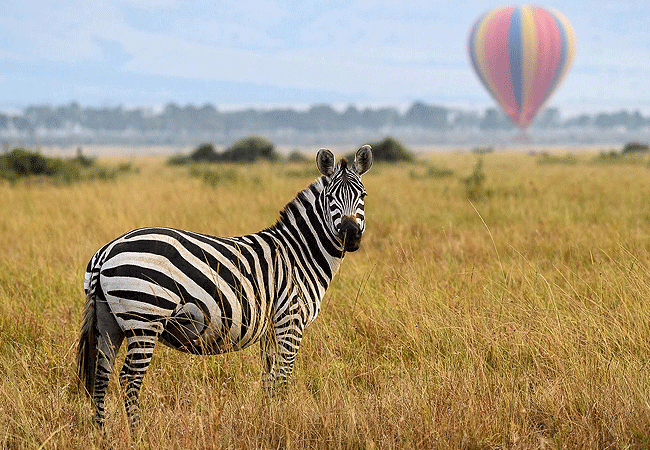 7 Day Kenya Safaris Tours Trips From Nairobi