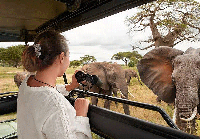8 Days Kenya safari tours
