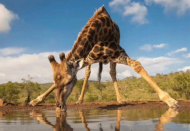 9 Days 8 Nights Kenya Safari Holiday Tour
