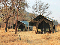 Serengeti View Camp – Serengeti National Park
