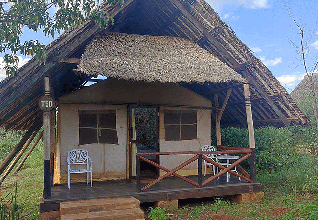 aa-lodge-amboseli-national-park-tented-room AA Lodge Amboseli National Park Kenya Safari