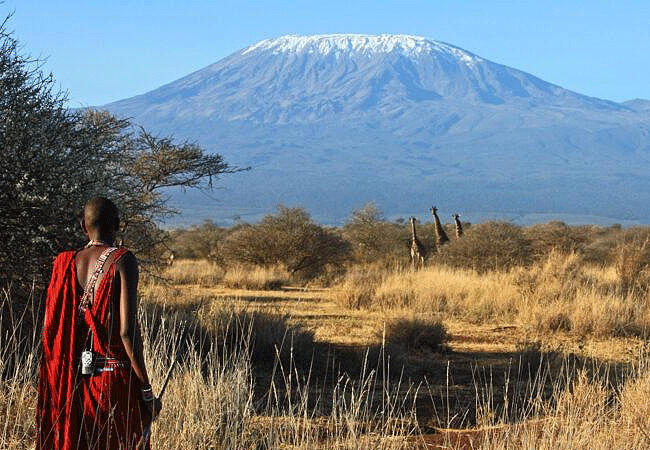 Amboseli Serena Safari Lodge