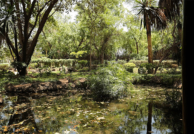 Amboseli Serena Safari Lodge