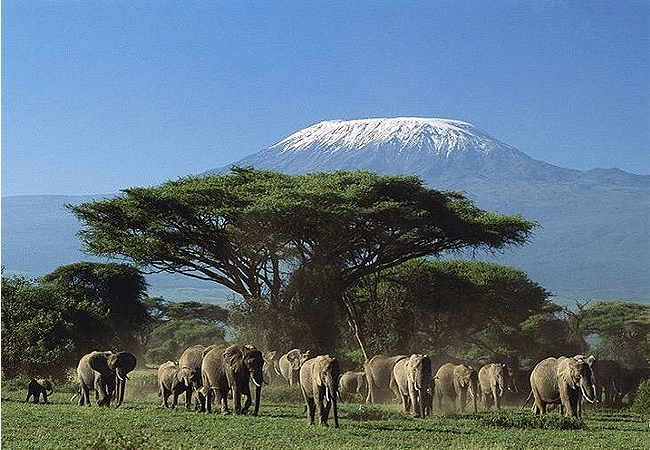 Amboseli Serena Safari Lodge