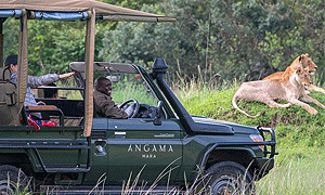  4 Days 3 Nights Kenya Fly-in Safari Angama Mara Lodge from Nairobi