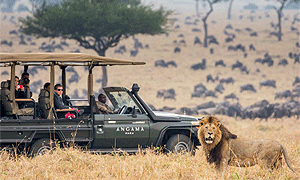  6 Days 5 Nights Kenya Fly-in Safari Angama Mara Luxury Safari Lodge