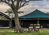 Ang’ata Migration Camp (Ndutu & Bologonja) - Serengeti National Park, Tanzania