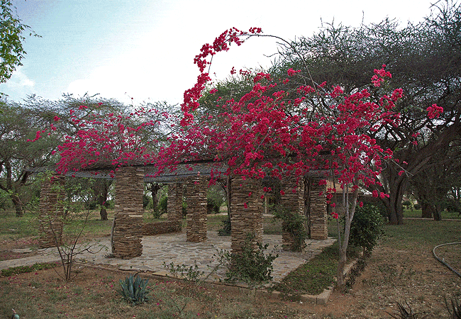 ashnil-aruba-lodge-tsavo-east-national-park-gazebo-for-your-private-wild-parties-under-the-african-sky Ashnil Aruba Lodge Tsavo