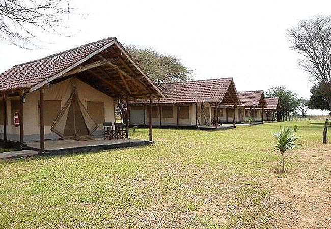 ashnil-aruba-lodge-tsavo-east-national-park-safari-tents Ashnil Aruba Lodge Tsavo