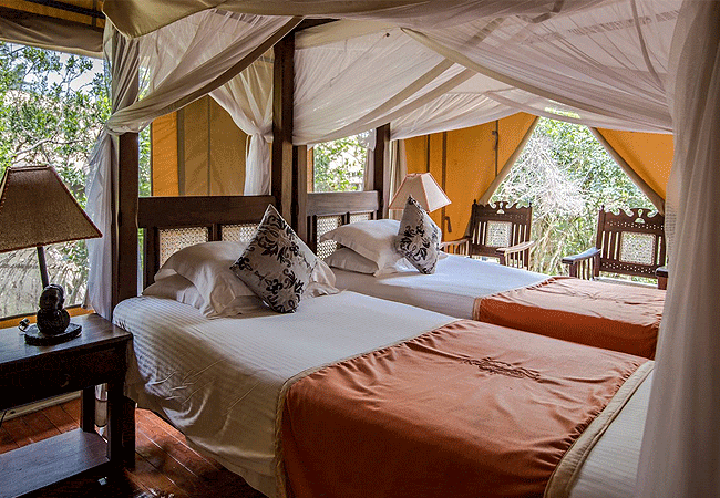 ashnil-samburu-camp-family-tent Ashnil Samburu Camp Kenya Safaris
