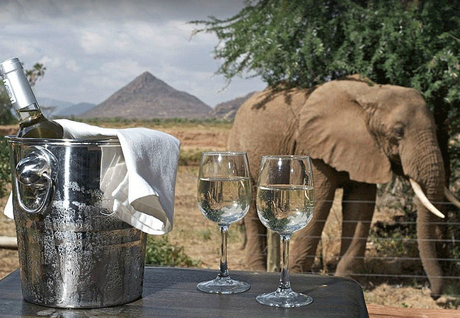 ashnil-samburu-camp-is-12-kilometers-from-ngare-mara-gate-and-about-5-hours-drive-from-nairobi Ashnil Samburu Camp Kenya Safaris