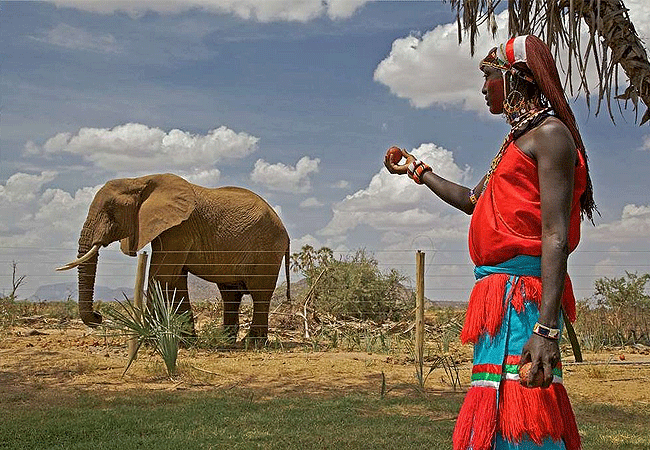 ashnil-samburu-camp-is-secured-by-a-24-hour-electric-fence-to-protect-guests-from-wildlife Ashnil Samburu Camp Kenya Safaris