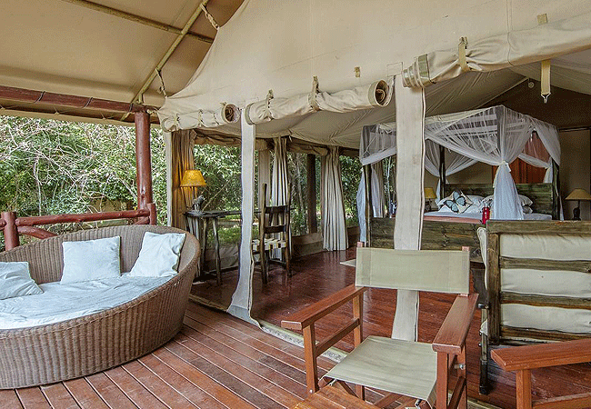 ashnil-samburu-camp-standard-tent Ashnil Samburu Camp Kenya Safaris