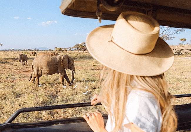 ashnil-samburu-camp-wildlife-include-samburu-special-five-grevy-zebra- reticulated-giraffe-somali-ostrich-gerenuk-and-beisa-oryx Ashnil Samburu Camp Kenya Safaris