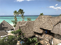 Baby Bush Lodge – Kiwengwa view, Kiwengwa – Zanzibar East Coast