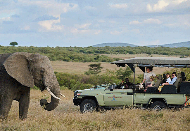Basecamp Wilderness Masai Mara gamedrive