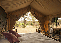 Bologonya Under Canvas Safari Camp – Serengeti National Park