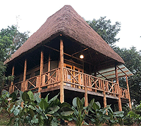 Bugoma Jungle Lodge,Kisaru, Uganda