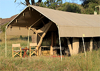 Camp Zebra Serengeti – Serengeti National Park