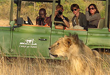  4 Days 3 Night Campi ya Kanzi Luxury Camp (Chyulu Hills) Fly-in Safari from Nairobi