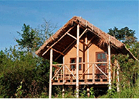 Chimps' Nest Lodge – Kibale National Park