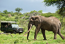 3 Days 2 Night Chyulu Hills National Park Fly-in Safari from Nairobi