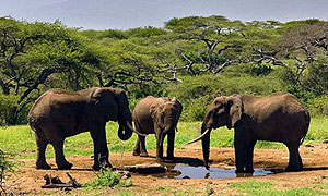 Chyulu Hills National Park Tsavo & Amboseli - Kenya