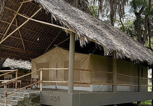 doa-doa-safari-camp-tsavp-east-national-park-guest-tent-room Doa Doa Safari Camp Tsavo East National Park