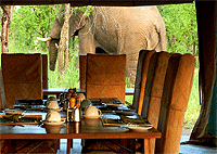 Dunia Luxury Safari Camp - Central Serengeti National Park - Tanzania