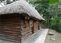 Eco-Lodge Campsite – Kibale National Park