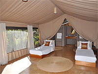 Ecoscience Science Center and Luxury Lodge – Tarangire National Park