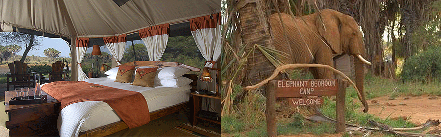 Elephant Bedroom Camp Samburu