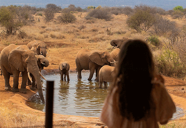 elephant-gorge-camp-amboseli-national-park- water-hole-frequented-by-elephants-and-other-wild-life Elephant Gorge Camp Amboseli