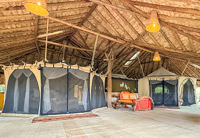 elephant-watch-camp-comprises-six-spacious-and-netted-tents-all-with-the-same-delightful-thatched-roofing-as-the-main-building Elephant Watch Camp Samburu