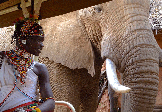elephant-watch-camp-is-a-vibrant-eco-camp-dedicated-to-elephant-conservation-in-the-heart-of-samburu Elephant Watch Camp Samburu
