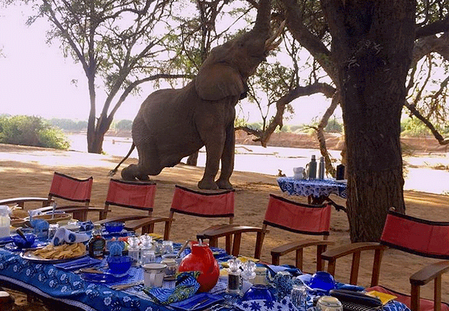 elephant-watch -camp-samburu-is-run-by-the-douglas-hamilton-family-and-this-is-the-place-for-elephant-viewing Elephant Watch Camp Samburu