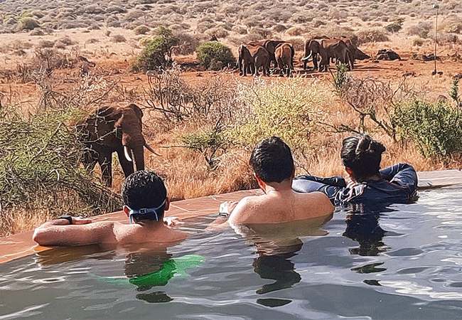 elerai-camp-amboseli-guests-enjoying-wildlife-from-the-pool-not-only-elephant-also-zebra-&-waterbuck-up-close Elerai Camp Amboseli National Park Kenya Safari