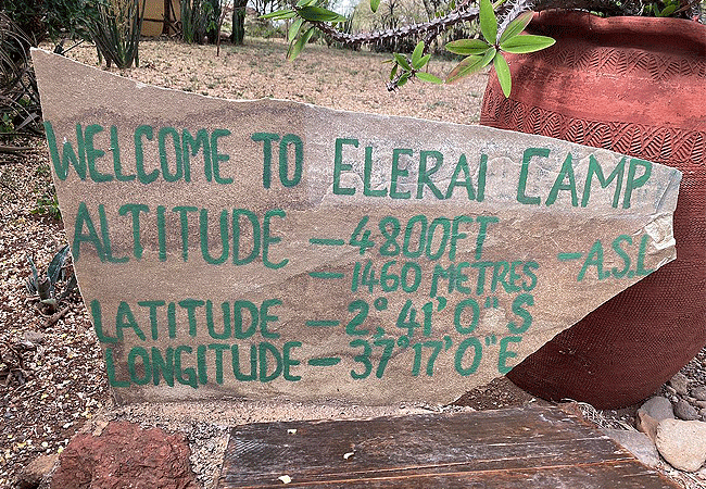 elerai-camp-amboseli-is-located-in-a-quiet-unspoilt-unique-setting-on-a-5000-acre-private-conservation-area-12-km-south-east-of-amboseli-national-park Elerai Camp Amboseli National Park Kenya Safari