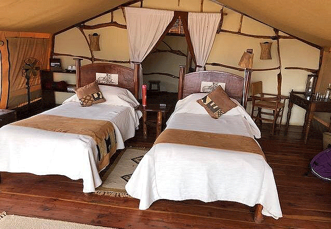 elerai-camp-amboseli-tents-twin-room Elerai Camp Amboseli National Park Kenya Safari