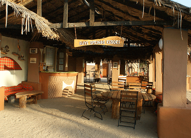 eliye-springs-resort-turkana-attracted-a-number-of-bird-species Eliye Springs Resort Turkana