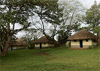 Enfuzi Campsite – Kibale National Park