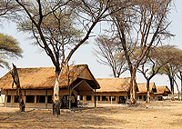 Flycatcher Ruaha Camp, Ruaha National Park – Tanzania