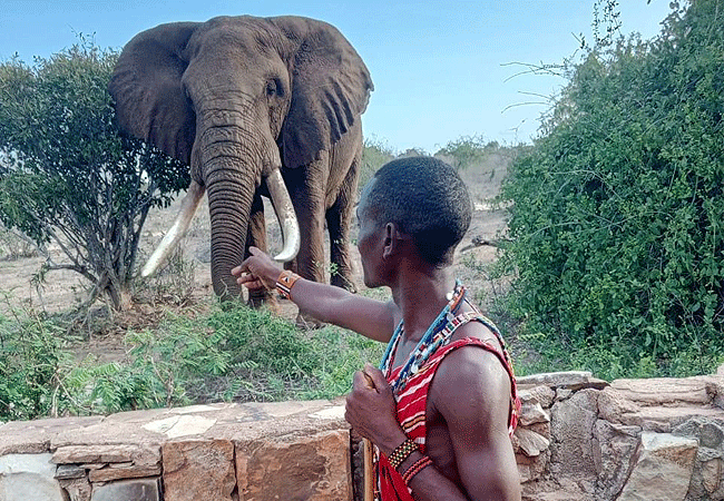 Galana Crocodile Camp Tsavo East National Park