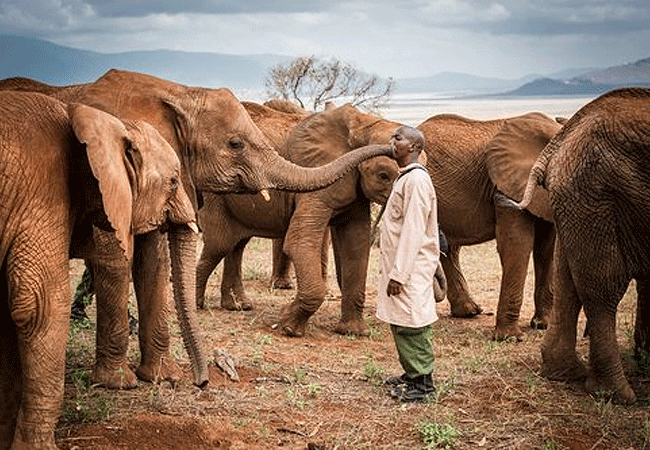 Galdessa Little Camp Tsavo East National Park